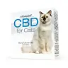 een doos CBD voor katten op een witte achtergrond. miniatuur