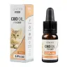 Een doos met een flesje van 10 ml Renova – CBD olie 2,5% voor katten, dat door dierenartsen is samengesteld en in het laboratorium is getest met in totaal 250 mg CBD. miniatuur