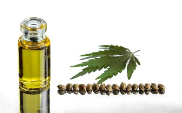 Cannabis-hennepzaad-cannabidiol