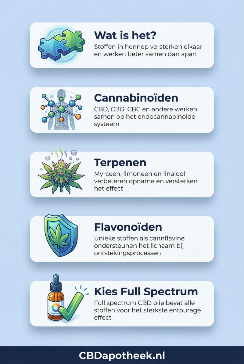 Infographic het entourage effect - CBDapotheek.nl
